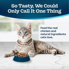 Blue Buffalo Tastefuls Active Dry Cat Food Chicken 3 Lb Natural Ingredients