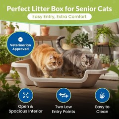 Large Open-Top Cat Litter Box – Easy Entry Low Entrance Pan for Seniors & Arthri