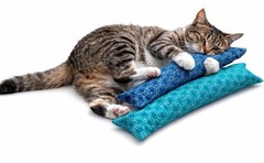 2-Pack 15” Catnip Kick Stick Toys – Filled with 1oz Canadian Catnip USA Handmade