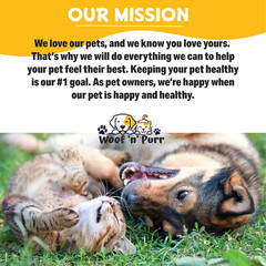 Natural Mange Treatment Cats – Cat Mange Treatment – Mange Treatment for Cats –