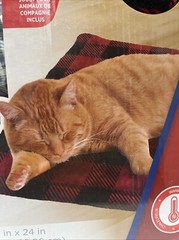Coleman Pet Self Warming Mat + Ball Toys Buffalo Plaid Red & Black Checker New