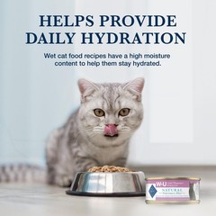 Blue Buffalo Natural Veterinary Diet Wet Cat Food Weight Management 24 cans
