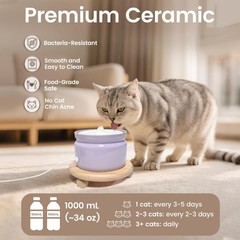 Ceramic Cat Water Fountain, 1L/32oz Automatic Pet Drinking Fountain | Quiet U…