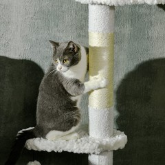 8.4′ Floor to Ceiling Cat Tree, Adjustable Height, Cloud Shape White