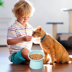 3Pcs Reusable Raised Cat Food Bowls Ergonomic Tilted Design for Cats