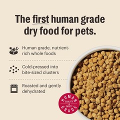 The Honest Kitchen Human Grade Whole Food 16 Fl Oz (Pack of 1), Multi