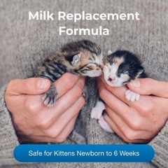 Liquid Milk Replacer for Cats and Kittens 32 fl oz Nutritional Supplement Drink