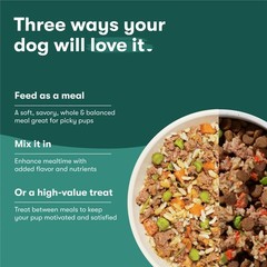 Jinx Chicken Dog Wet Food, Meal or Mix in Toppers for 9 Ounce (Pack of 6)