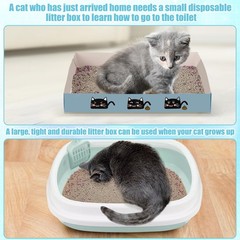 Locmeo 40 Pcs Kitten Starter Kit For Indoor Cats Include Litter Carrier Cat Bed
