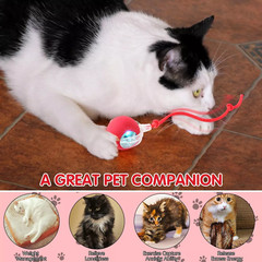 Automatic Rolling Ball Smart Cat Dog Toy Electric Pet Self-moving Kitten Game US
