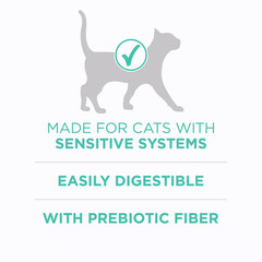 2 pack Purina ONE Sensitive Stomach, Sensitive Skin, Natural Dry Cat Food, +Plus