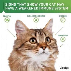 Vetoquinol Viralys L-Lysine Supplement for Cats, 3.5Oz/100G (Exp: 09/2025) NEW