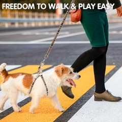 Adjustable No Pull Dog Harness Collar Leash Set – Small Dog – No Pull