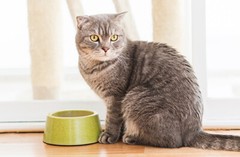 active wellbeing – CATS TOTAL HEALTH COMPLEX – strong vitality 3 Bottle 180 Caps