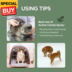 Active Catnip Spray – High Potency Transparent Liquid Spray made of Fresh Organi