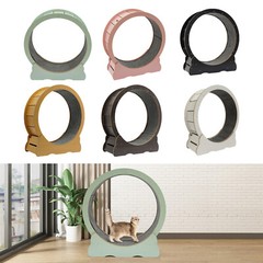 Cat Exercise Wheel Running Wheel Cat Toys Indoor Cat Treadmill Cat Toy Kitty Toy