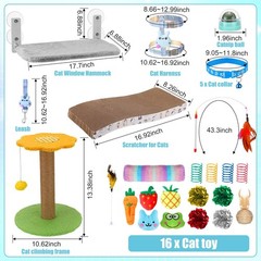Locmeo 40 Pcs Kitten Starter Kit For Indoor Cats Include Litter Carrier Cat Bed