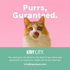 NEW,Outdoor Catio Furniture and Play Kits for Cats, Outdoor Mega Kit！