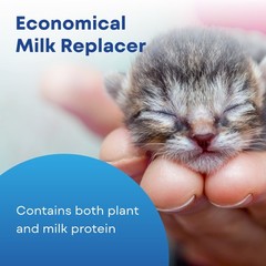 PetAg Liquid Milk Replacer Plus – 32oz, Premium Nutrition for Cats and Kittens