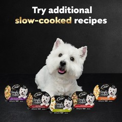 Nutritious 40 Count Chicken & Beef Wet Dog Food Toppers for Digestive Health