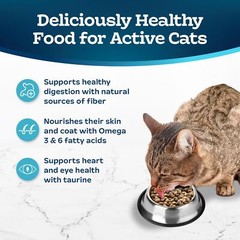 Blue Buffalo Tastefuls Active Dry Cat Food Chicken 3 Lb Natural Ingredients