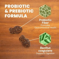 VetriScience Gut Health Chews, Probiotic Everyday 60 60 Count