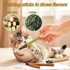 Interactive 12PCS Catnip Chew Toys for Indoor Cats – Dental Health Included