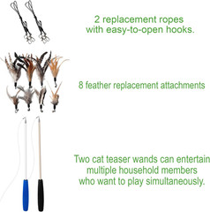 Cat Toys – No Chemical Dyeing Cat Feather Toys for Indoor Cats – Include Cat Wan