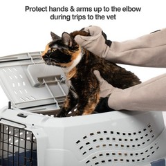 PetFusion Multipurpose Pet Glove for Grooming, Trips to Vet, Handling. [Punct…