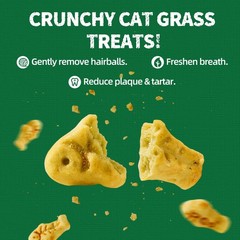 Just Try 13.4 0Z Cat Grass Treats Salmon Oil Natural Ounce (Pack of 1)