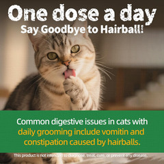 13.4 OZ Cat Treats for Indoor Cats Hairball Control Natural Salmon Healthy Cat G