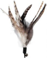 Cat Toys – No Chemical Dyeing Cat Feather Toys for Indoor Cats – Include Cat Wan
