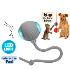 Automatic Rolling Ball Smart Cat Dog Toy Electric Pet Self-moving Kitten Game US