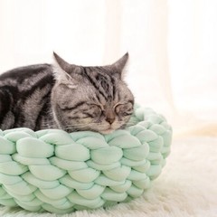 Pet Cat Dog Bed Fluffy Soft Cat Dog Bed Round Marshmallow Donut Cat Bed Sleeping