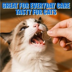 Coenzyme Q10 Cat Treats – Chicken Flavored Soft Chews for Heart Health – 300 Cou