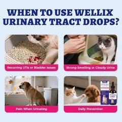4oz Wellix Natural Cat & Dog UTI Treatment Drops,Cat & Dog Urinary Tract Infecti