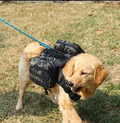 x Jumahe Dog Hiking Backpack for Large/Giant Dogs – 2 Spacious Side Bags,
