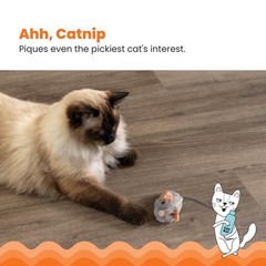 Petstages Squeak Mouse Cat Toy Plush – Included Catnip Interactive Gray