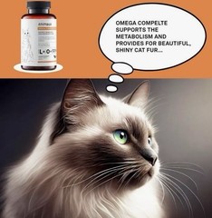 BUY2GET1FREE Animaux – Omega Complete Cats