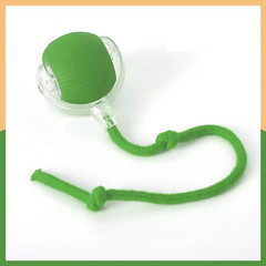 Automatic Rolling Ball Smart Cat Dog Toy Electric Pet Self-moving Kitten Game US