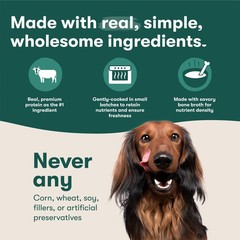Jinx Chicken Dog Wet Food, Meal or Mix in Toppers for 9 Ounce (Pack of 6)