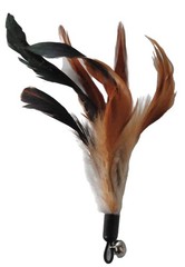 Cat Feather Toys – Natural Wand & Refills, No Chemical Dyes, Indoor Cats
