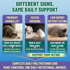 Taurine for Cats Vitamins Treats, 16 in 1 Cat Multivitamin 500 Crunchy & Krill C