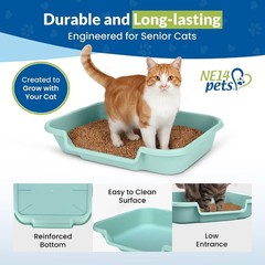 Large Green Open Top Litter Box for Senior Cats – KittyGoHere Comfort Solution