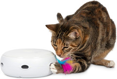 Ambush Interactive Electronic CAT Toy