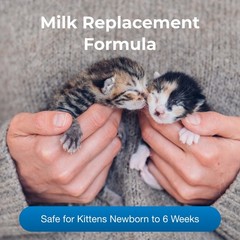PetAg Liquid Milk Replacer Plus – 32oz, Premium Nutrition for Cats and Kittens