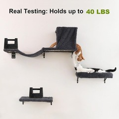Cat Wall Furniture Set Climbing Shelves Scratching Post Indoor Space Saver New