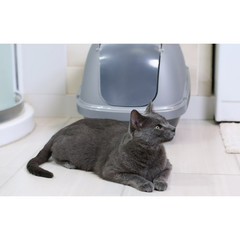 Petmate Hooded Enclosed Cat Litter Pan Covered Box with Door Large Blue Silver