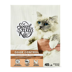 (4 pack) Special Kitty Clumping Clay Cat Litter, Unscented, 45 lbs Box