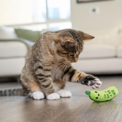Catstages 1 Count (Pack of 1), Crunchy Pickle Kicker